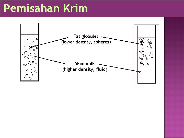 Pemisahan Krim Fat globules (lower density, spheres) Skim milk (higher density, fluid) 