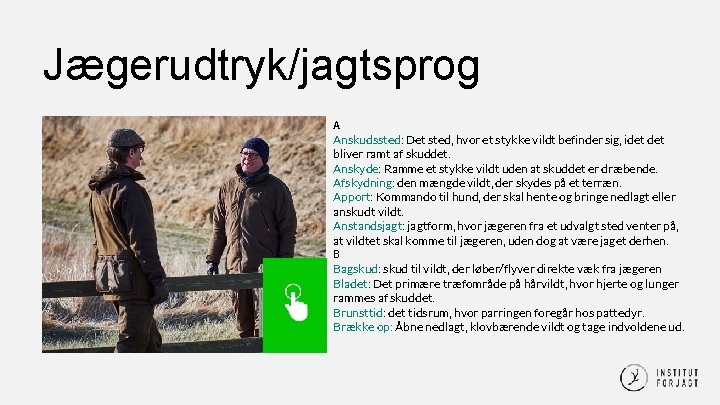 Jægerudtryk/jagtsprog A Anskudssted: Det sted, hvor et stykke vildt befinder sig, idet bliver ramt