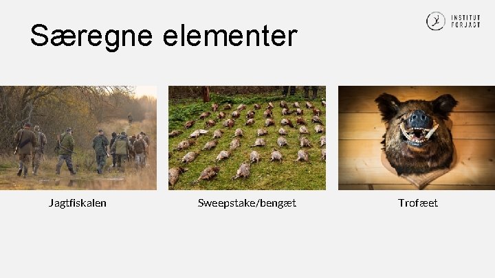 Særegne elementer Jagtfiskalen Sweepstake/bengæt Trofæet 