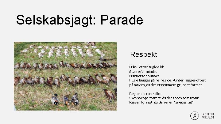 Selskabsjagt: Parade Respekt Hårvildt før fuglevildt Større før mindre Hanner før hunner Fugle lægges