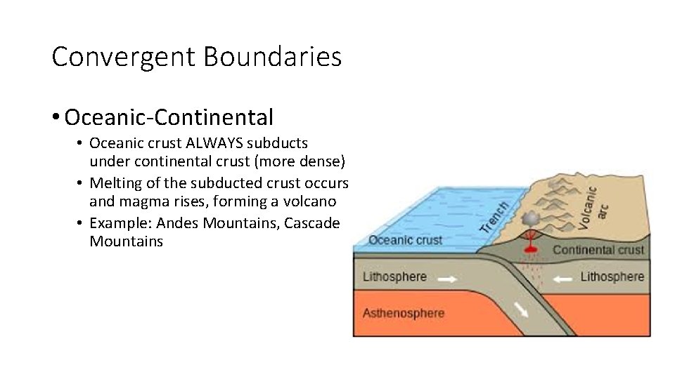Convergent Boundaries • Oceanic-Continental • Oceanic crust ALWAYS subducts under continental crust (more dense)