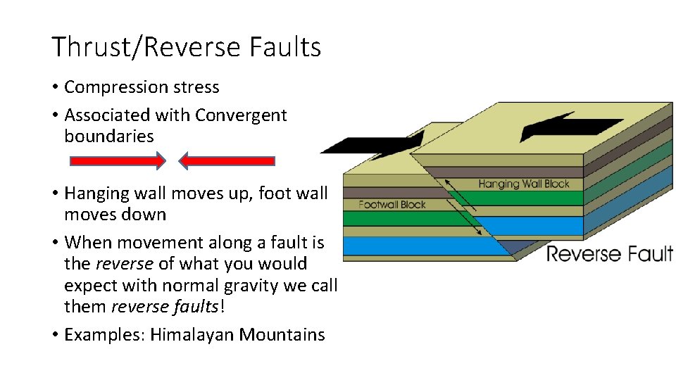 Thrust/Reverse Faults • Compression stress • Associated with Convergent boundaries • Hanging wall moves