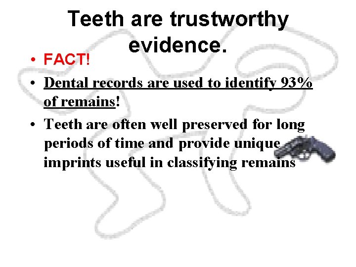 Teeth are trustworthy evidence. • FACT! • Dental records are used to identify 93%