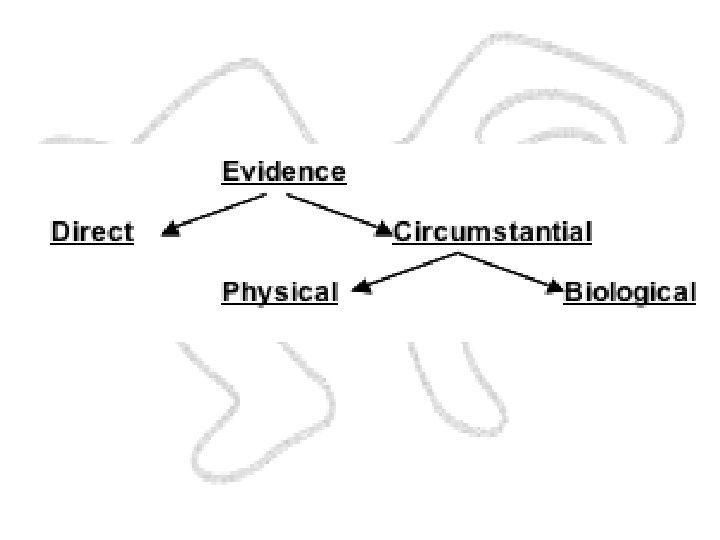FORENSIC SCIENCE An Introduction By Richard Saferstein PRENTICE HALL © 2008 Pearson Education, Inc.