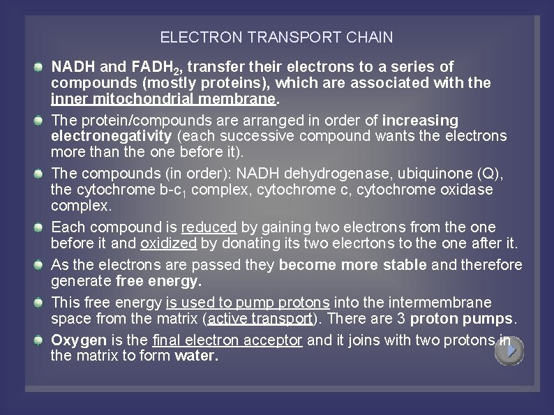 ELECTRON TRANSPORT CHAIN NADH and FADH 2, transfer their electrons to a series of