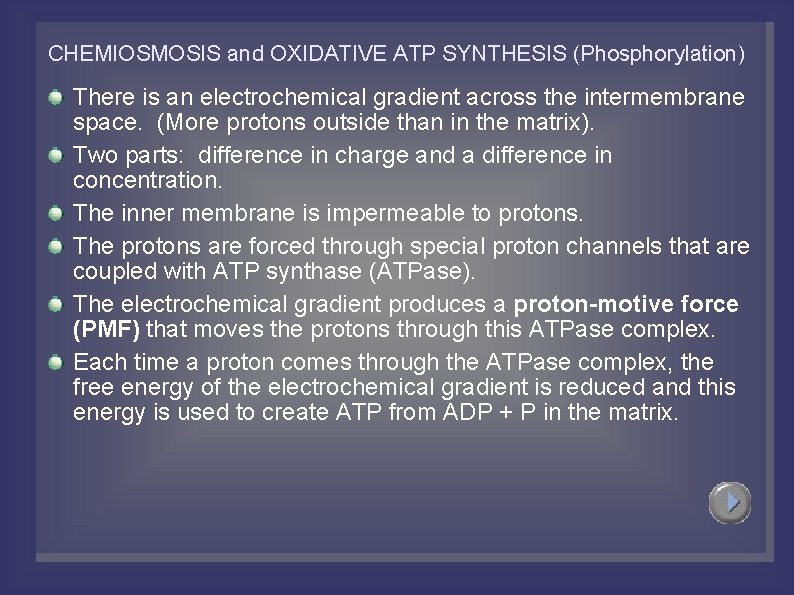 CHEMIOSMOSIS and OXIDATIVE ATP SYNTHESIS (Phosphorylation) There is an electrochemical gradient across the intermembrane