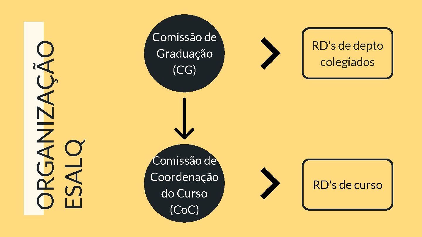 ORGANIZAÇÃO ESALQ Comissão de Graduação (CG) RD's de depto colegiados Comissão de Coordenação do