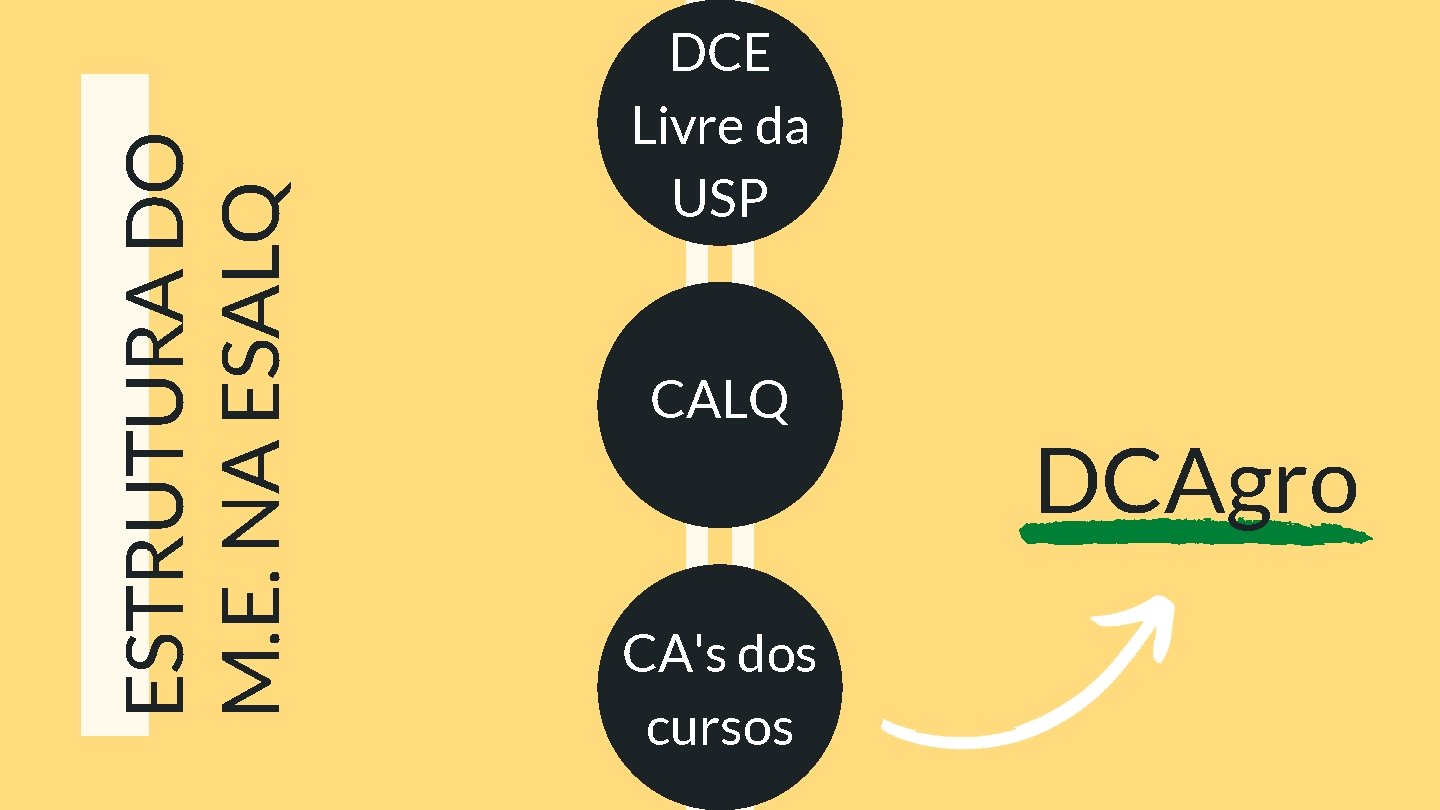 ESTRUTURA DO M. E. NA ESALQ DCE Livre da USP CALQ CA's dos cursos