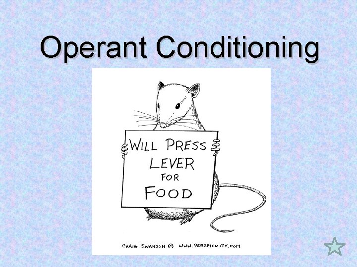 Operant Conditioning 