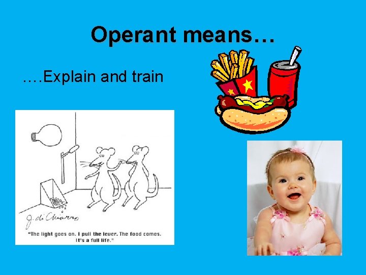 Operant means… …. Explain and train 