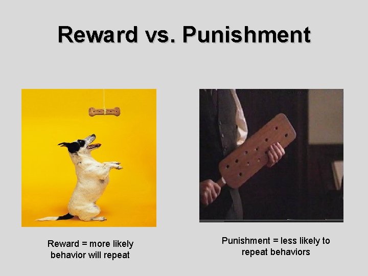 Reward vs. Punishment Reward = more likely behavior will repeat Punishment = less likely