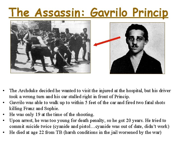 The Assassin: Gavrilo Princip • The Archduke decided he wanted to visit the injured