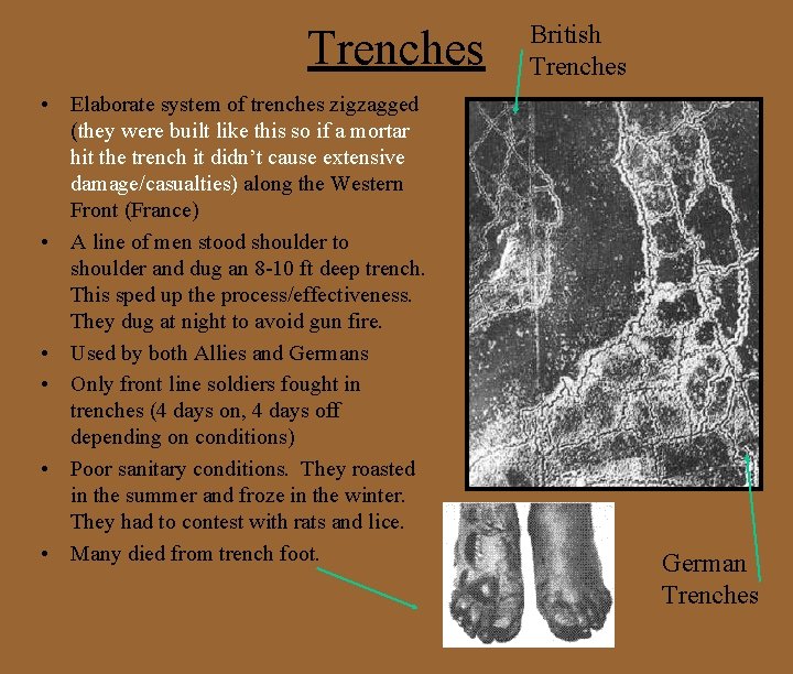 Trenches • Elaborate system of trenches zigzagged (they were built like this so if