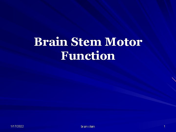 Brain Stem Motor Function 1/17/2022 brain stem 1 