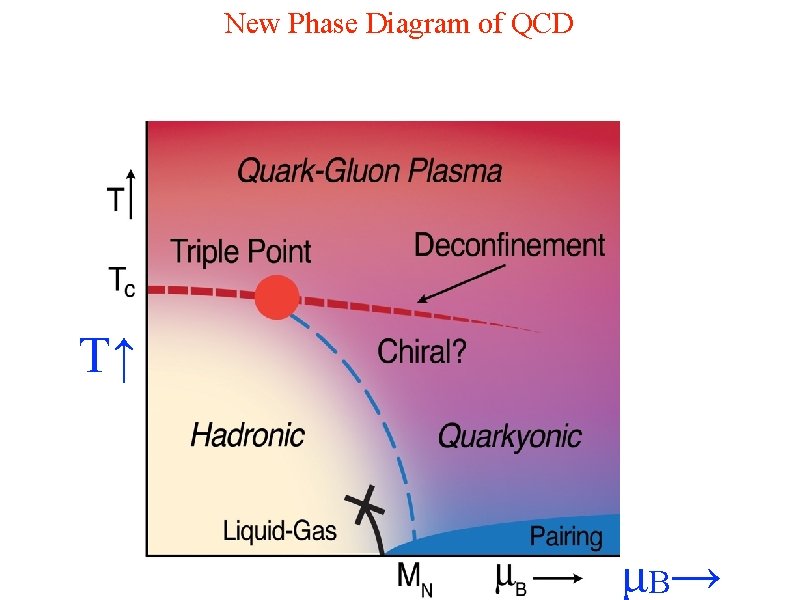 New Phase Diagram of QCD T↑ μB → 