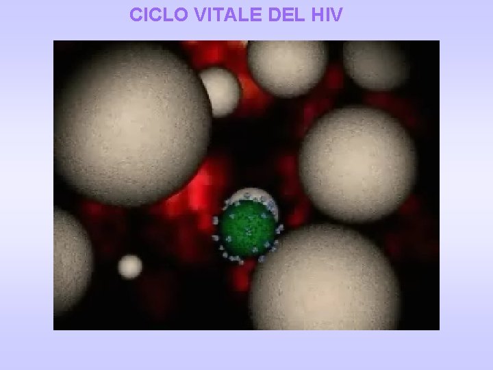 CICLO VITALE DEL HIV 