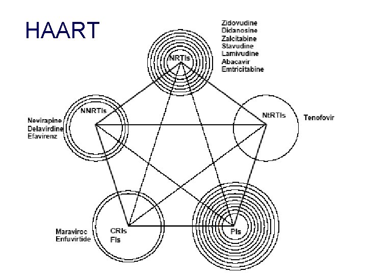 HAART 