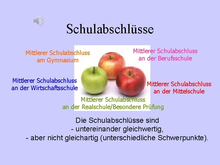 Schulabschlüsse Mittlerer Schulabschluss am Gymnasium Mittlerer Schulabschluss an der Wirtschaftsschule Mittlerer Schulabschluss an der