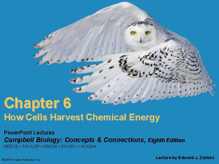 Chapter 6 How Cells Harvest Chemical Energy Power. Point Lectures Campbell Biology: Concepts &