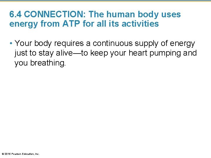 6. 4 CONNECTION: The human body uses energy from ATP for all its activities