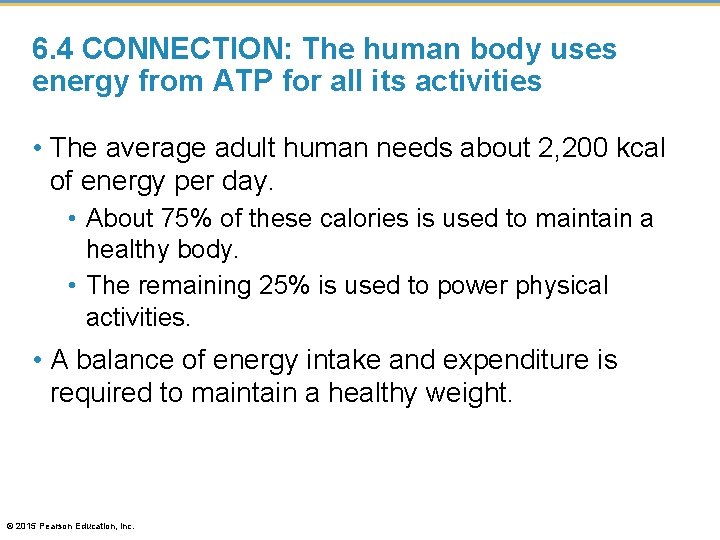 6. 4 CONNECTION: The human body uses energy from ATP for all its activities