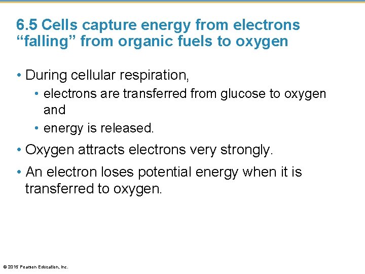 6. 5 Cells capture energy from electrons “falling” from organic fuels to oxygen •