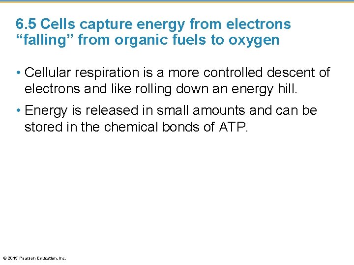 6. 5 Cells capture energy from electrons “falling” from organic fuels to oxygen •