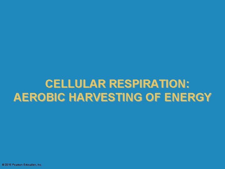 CELLULAR RESPIRATION: AEROBIC HARVESTING OF ENERGY © 2015 Pearson Education, Inc. 