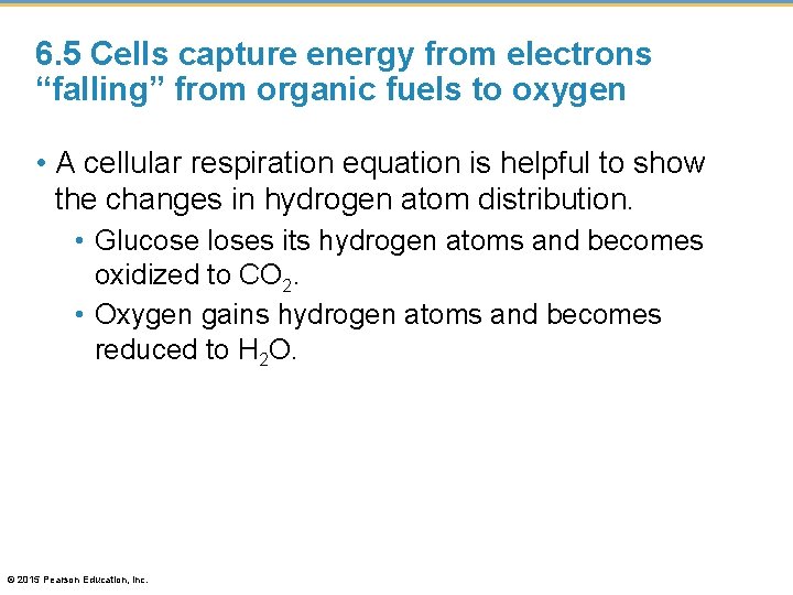 6. 5 Cells capture energy from electrons “falling” from organic fuels to oxygen •