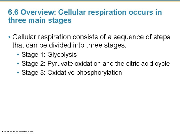 6. 6 Overview: Cellular respiration occurs in three main stages • Cellular respiration consists