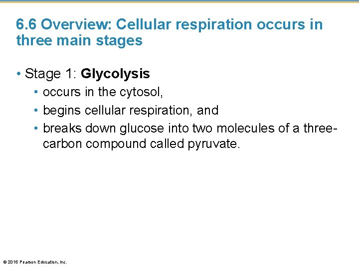 6. 6 Overview: Cellular respiration occurs in three main stages • Stage 1: Glycolysis