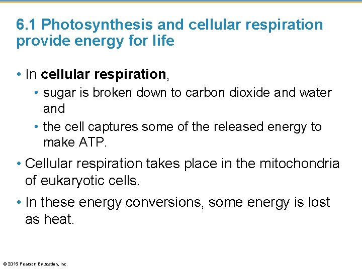 6. 1 Photosynthesis and cellular respiration provide energy for life • In cellular respiration,