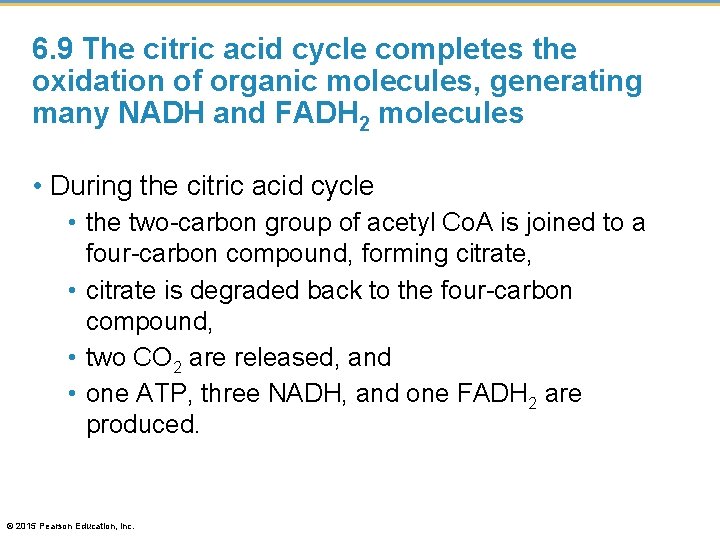 6. 9 The citric acid cycle completes the oxidation of organic molecules, generating many