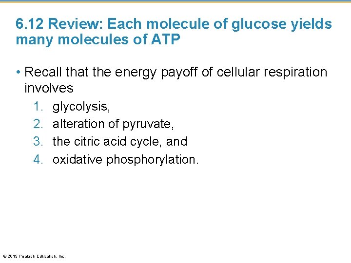 6. 12 Review: Each molecule of glucose yields many molecules of ATP • Recall