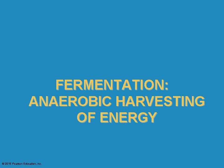 FERMENTATION: ANAEROBIC HARVESTING OF ENERGY © 2015 Pearson Education, Inc. 