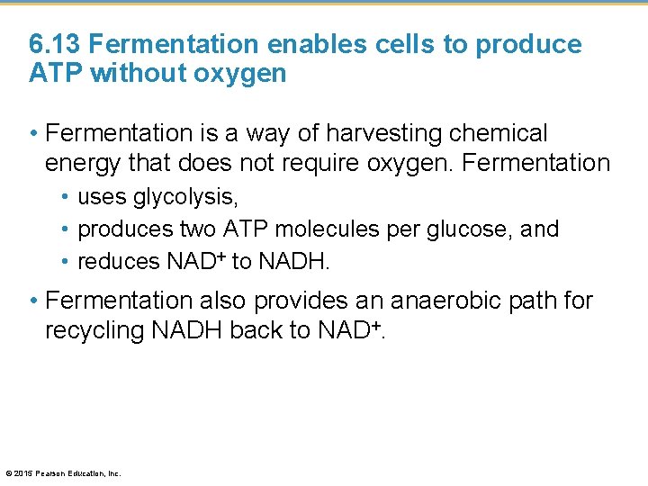 6. 13 Fermentation enables cells to produce ATP without oxygen • Fermentation is a