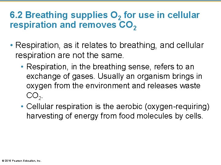 6. 2 Breathing supplies O 2 for use in cellular respiration and removes CO
