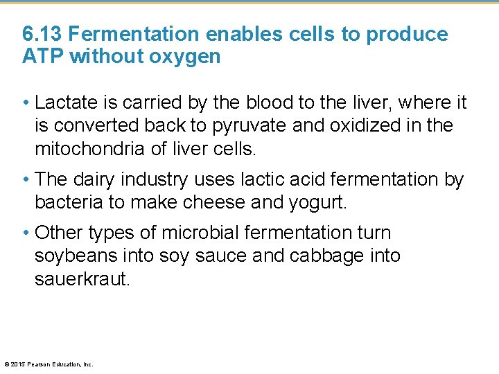 6. 13 Fermentation enables cells to produce ATP without oxygen • Lactate is carried