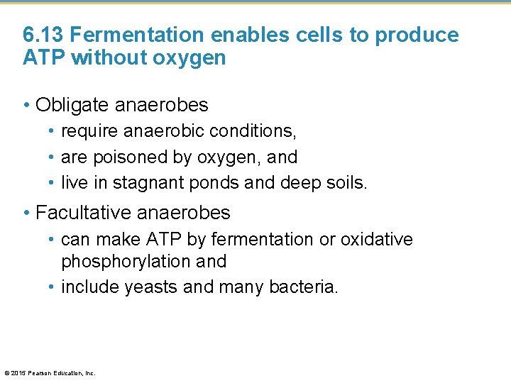 6. 13 Fermentation enables cells to produce ATP without oxygen • Obligate anaerobes •