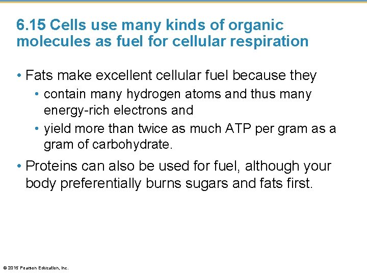 6. 15 Cells use many kinds of organic molecules as fuel for cellular respiration