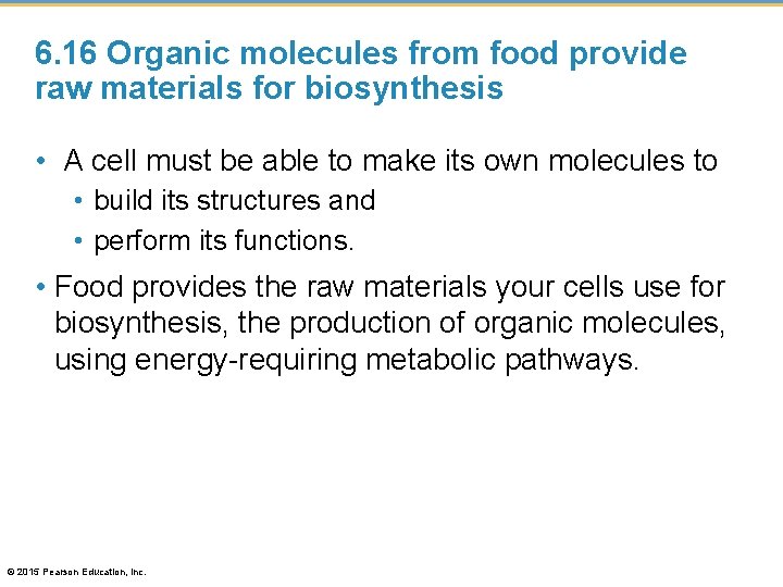 6. 16 Organic molecules from food provide raw materials for biosynthesis • A cell