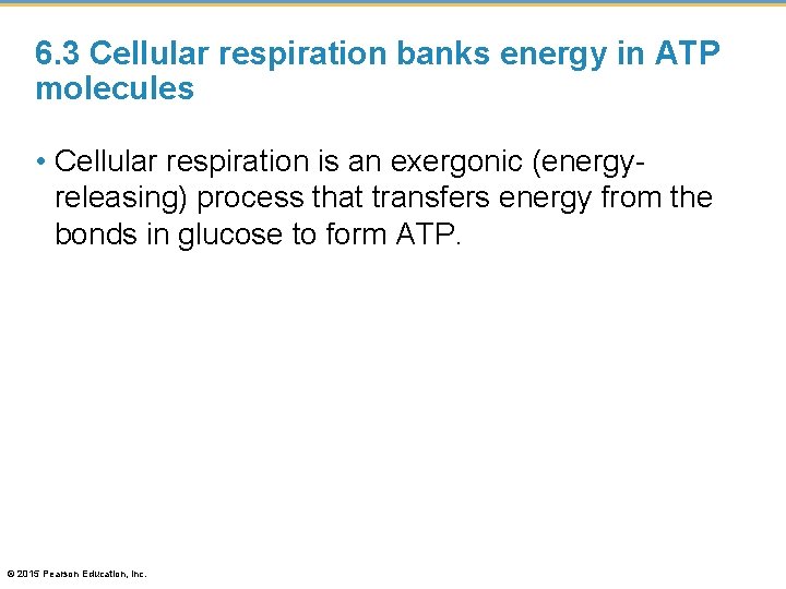 6. 3 Cellular respiration banks energy in ATP molecules • Cellular respiration is an