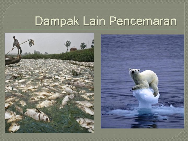 Dampak Lain Pencemaran 