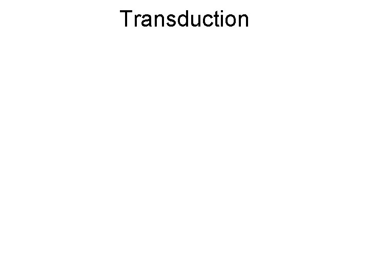 Transduction 