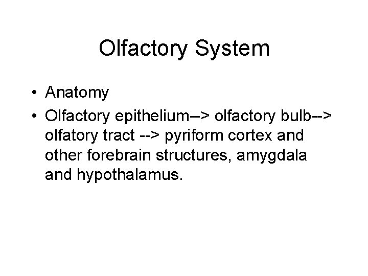 Olfactory System • Anatomy • Olfactory epithelium--> olfactory bulb--> olfatory tract --> pyriform cortex