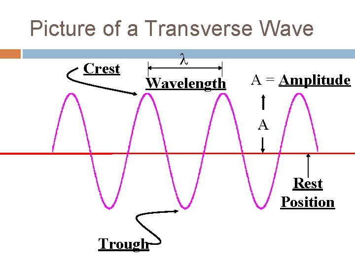 Picture of a Transverse Wave Crest l Wavelength A = Amplitude A Rest Position Picture of a Transverse Wave Crest l Wavelength A = Amplitude A Rest Position