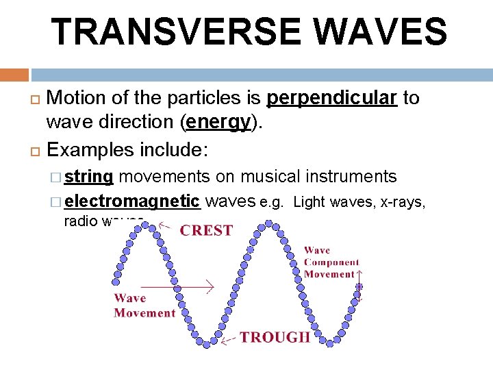 TRANSVERSE WAVES Motion of the particles is perpendicular to wave direction (energy). Examples include: TRANSVERSE WAVES Motion of the particles is perpendicular to wave direction (energy). Examples include: