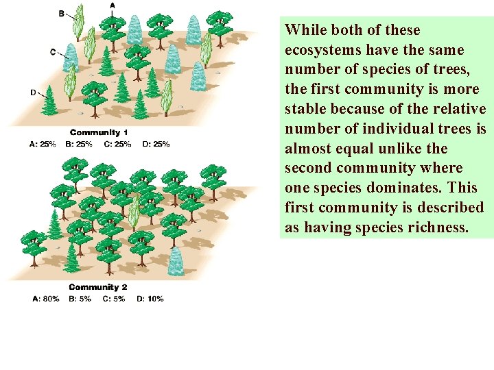 While both of these ecosystems have the same number of species of trees, the