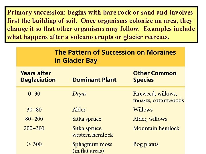 Primary succession: begins with bare rock or sand involves first the building of soil.