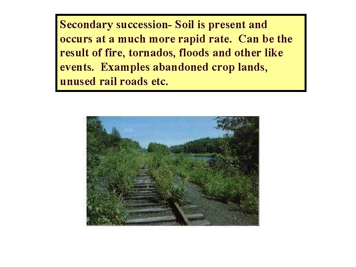 Secondary succession- Soil is present and occurs at a much more rapid rate. Can